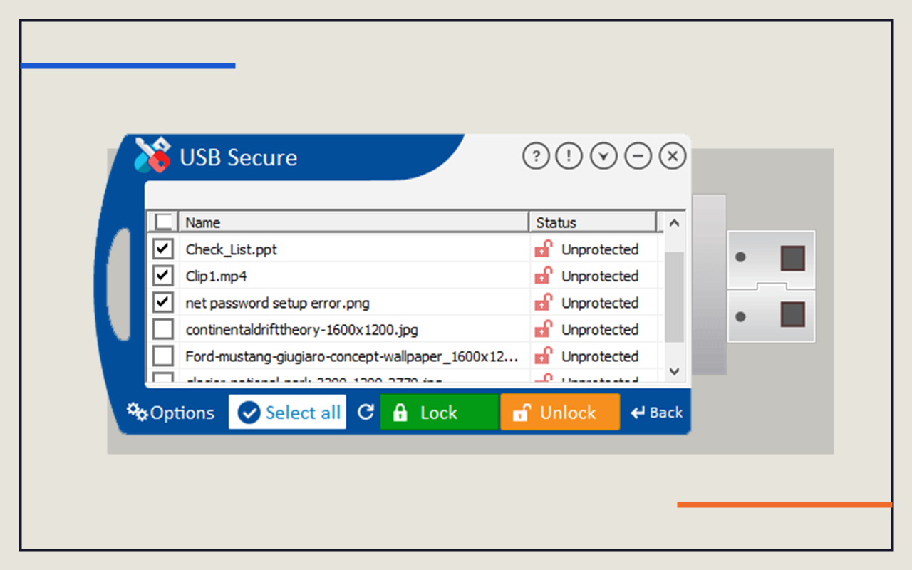 USB Secure access screen